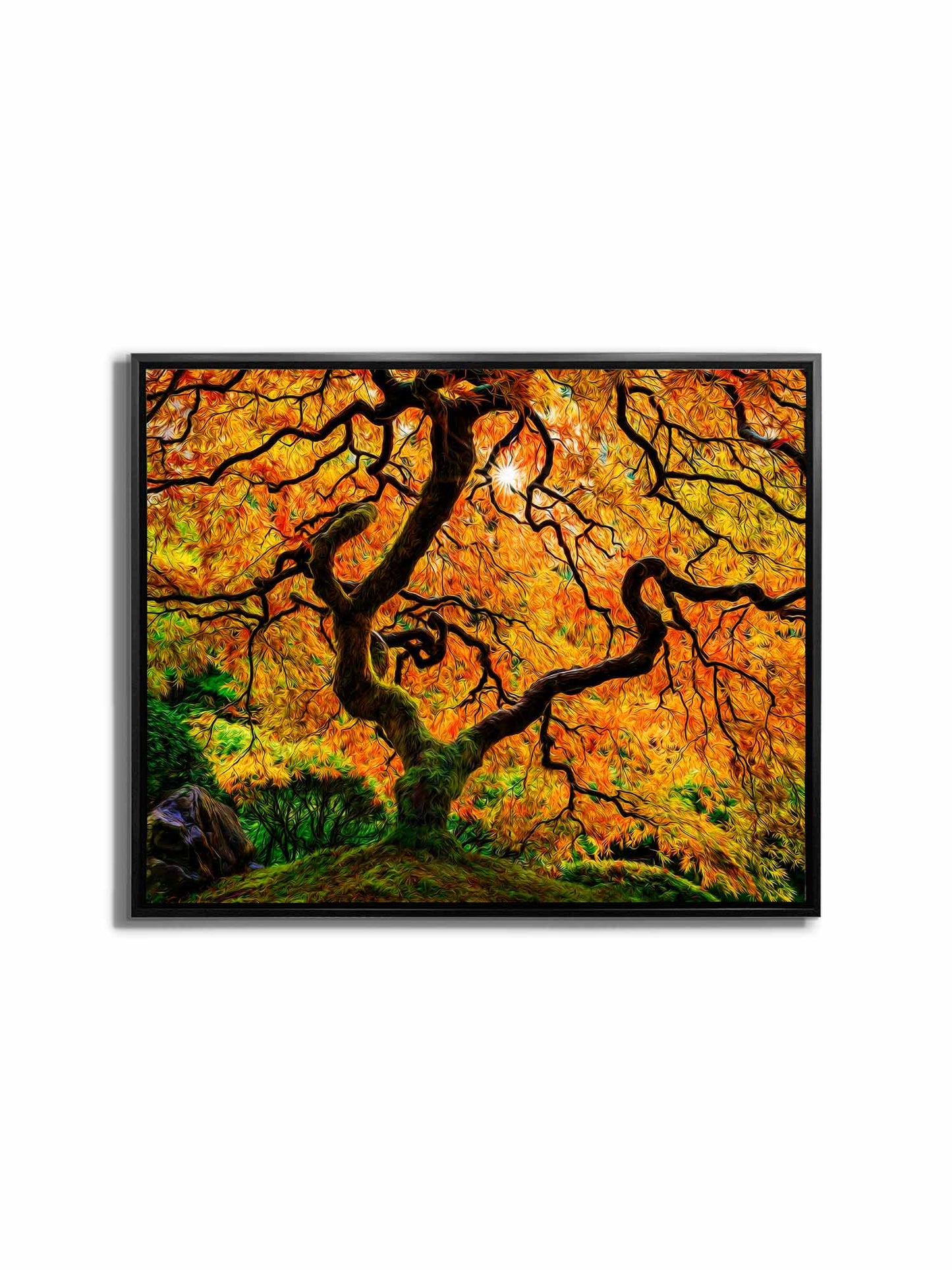 Canvas Print-Orange Tree-Nature Artwork-4