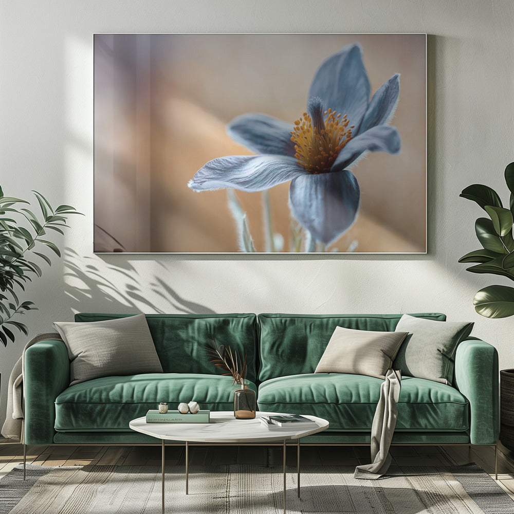 Wall art Pasque. Floral