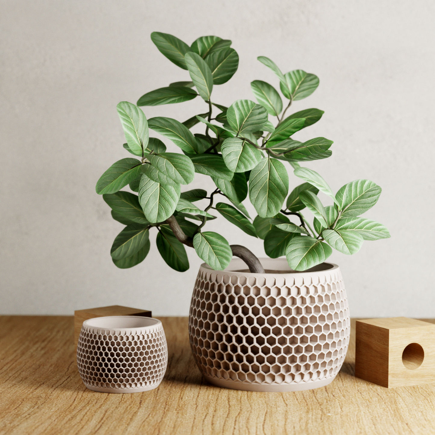 Honeycomb Planter-3