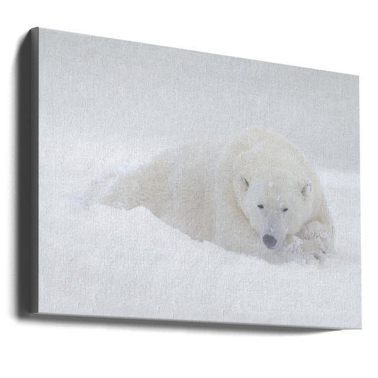 Wall art White-0