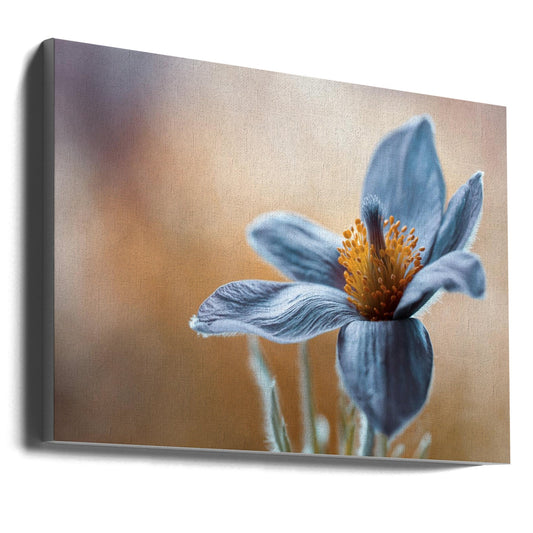 Wall art Pasque. Floral
