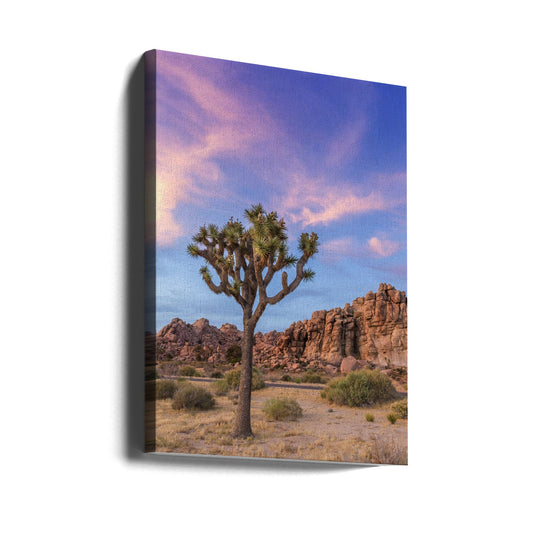 Wall art Joshua Tree Evening Atmosphere-0