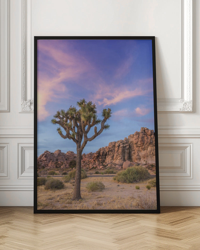 Wall art Joshua Tree Evening Atmosphere-3