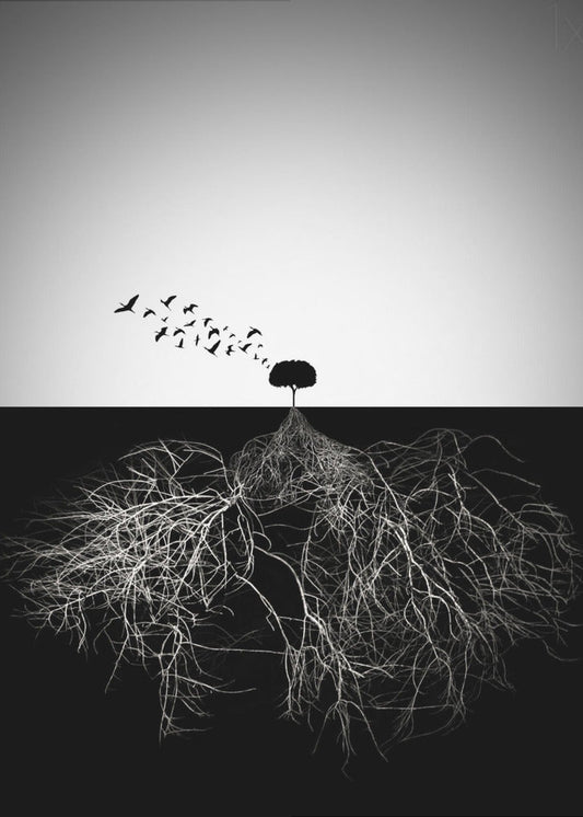 Wall art Do not judge according to appearance-1